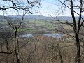IMG_2298