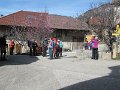 IMG_2306