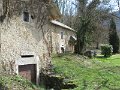 IMG_2317