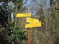 IMG_2321