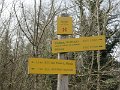 IMG_2322