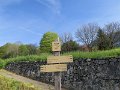 IMG_3546