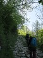 IMG_3549