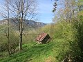 IMG_3550