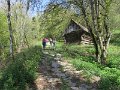 IMG_3551