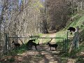 IMG_3558