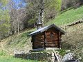IMG_3566