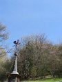 IMG_3567