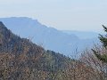 IMG_3582