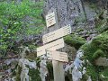 IMG_3593