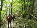 IMG_3595