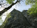IMG_3597