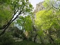 IMG_3601