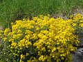 IMG_3608