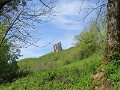 IMG_3610