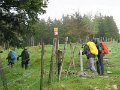 IMG_3617