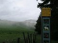 IMG_3618