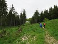IMG_3619