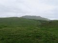 IMG_3622