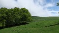 IMG_3640