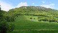 IMG_3641