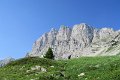 IMG_3649