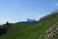 IMG_3651