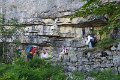 IMG_3982