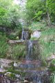 IMG_3983
