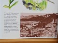 IMG_4507