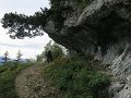 IMG_4513