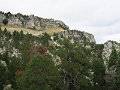 IMG_4530