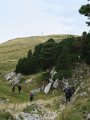 IMG_4535