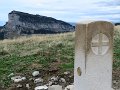IMG_4551