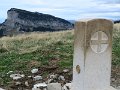 IMG_4553