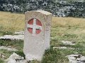 IMG_4561