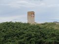 IMG_4567