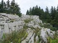 IMG_4595