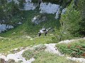 IMG_4598