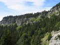 IMG_4606