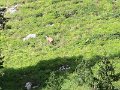 IMG_4620