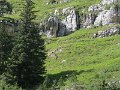 IMG_4623