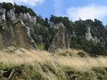 IMG_4637