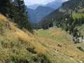 IMG_4638