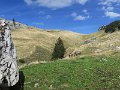 IMG_4643