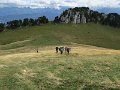 IMG_4652