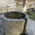IMG_4879