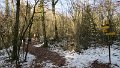 IMG_0007