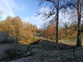 IMG_20231207_090807241