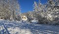 IMG_0006